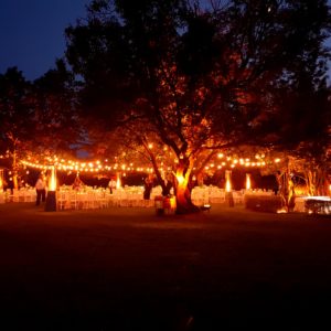 Luminarie Wedding GTsound