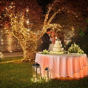 Torta Nuziale Illuminata